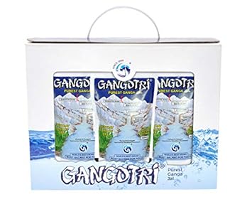 GANGAJAL 200ML (Gift Box) Pack of 11 Pouches Containing 200 ML Gangajal in One Pouch (200 Ml 11 Pouches = 1 Box