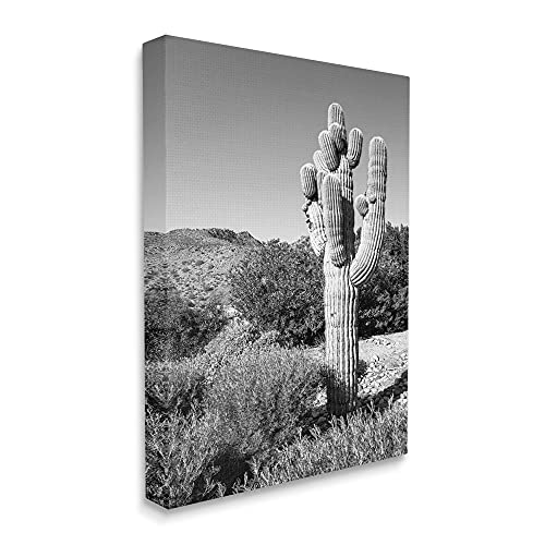 Image of Stupell Industries Thick Desert Cactus Black White Photography Canyon Landscape