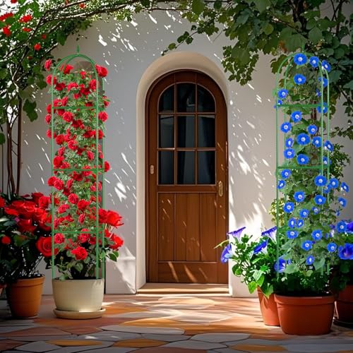 Image of Garden Trellis for Climbing Plants, Tomato Cage, Rose, Flowers, Grape, Pea, Cucumber Trellis, Rustproof Plastic Coated Metal Plant Support for Potted Plants Indoor Outdoor - 1PC Plant Trellis