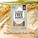 [R!CE] Japanese Style Gluten-Free Ramen | Creamy Tonkotsu Flavor with Premium Short-Grain Sprouted Brown Rice Noodles | Traditional Soup Base | Made in Japan (Tonkotsu 2-Pouches x 1 Pack)