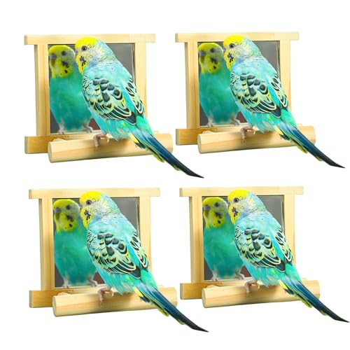 Image of Natural Wood Bird Stand with Mirror, Perch and Swing Toy for Parakeets, Hummingbird, Lovebirds and Cockatoos (4 Pack)