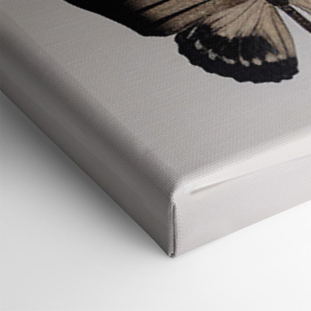 Canvas for Living room. Fluttering Spectrum: A Tapestry of 36 Butterflies in Black and Yellow Hues, 27 x 18 inch Canvas Wall Art - Ready to Hang - 69x46 cm (27x18 inch)
