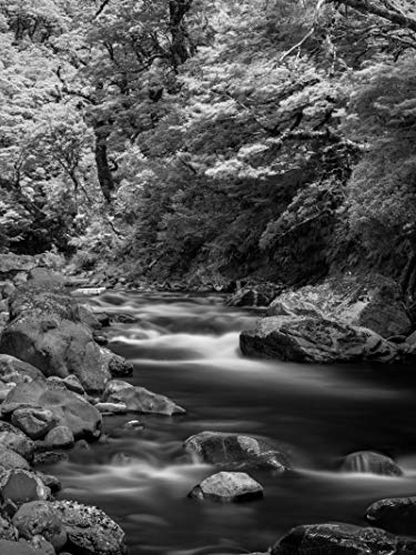 Filtre infrarouge Haida NanoPro 82mm pour photographier les paysages en plein été