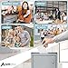 Adir Suggestion Box with Slot and Lock - Money Drop Box with Lock, Cash Dropbox - 9.8x7.5x3.4 Inches Wall Mount Donation Box - Metal Deposit Box in Gray