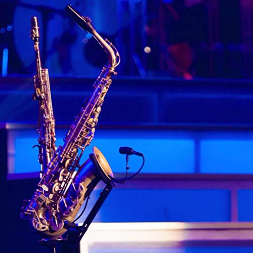 Lolunut Saxophone Stand, Foldable Alto/Tenor Sax Stand, Adjustable Metal Triangle Base Design #TOP5