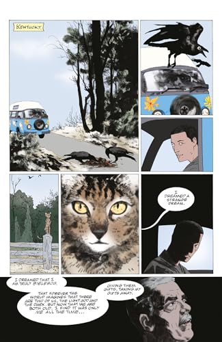American Gods Volume 3: The Moment of the Storm (Graphic Novel) - Image 5