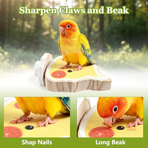 3 Pack Bird Perch Platform - image 3