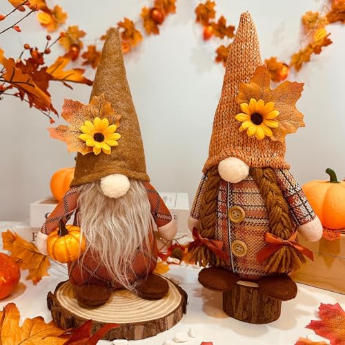 AIDODIA Gnomo Autunnale Decorativo – Set 2 Gnomi In Peluche Con Cappello A Punta, Zucca E Girasole, Decorazioni Autunnali, Camino, Tavolo O Mensola – Arredo Stile Rustico Autunno Decorazioni Casa (A)