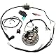 Baceyong Dirtbike-Zündung, Dirt 125ccm Kabelbaum Zündspule Magneto Stator für Dirt Pit Bike 110 50 70 125cc