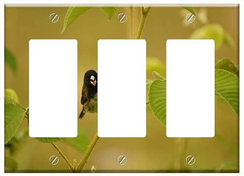Switch Plate Triple RockerGFCI - Nature Fauna Flora Insects Armenia Quindio 1