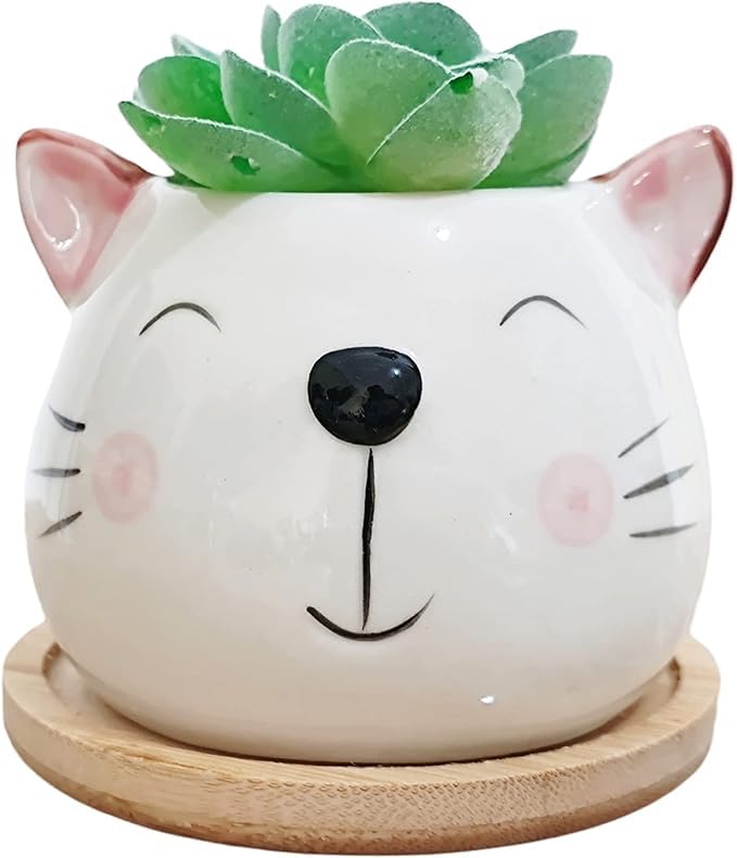 Cute 3.5 Inches Indoor Cartoon Animal Shaped Ceramic Succulent Cactus Flower Plant Pots Cartoon Face Indoor Garden-Plant Not Included (White)