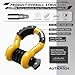 AUTMATCH D Ring Shackle 3/4