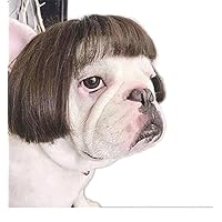 猫用ウィッグキューティツインテール 猫用ウィッグキューティツインテール