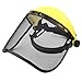 Hipa Safety Face Shield with Mesh Visor for Weed Eating Whacking Yard Work Chainsaw Protective Helmet