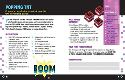 Unofficial STEM Quest for Minecrafters: Grades 1-2 (STEM for Minecrafters) - Image 3