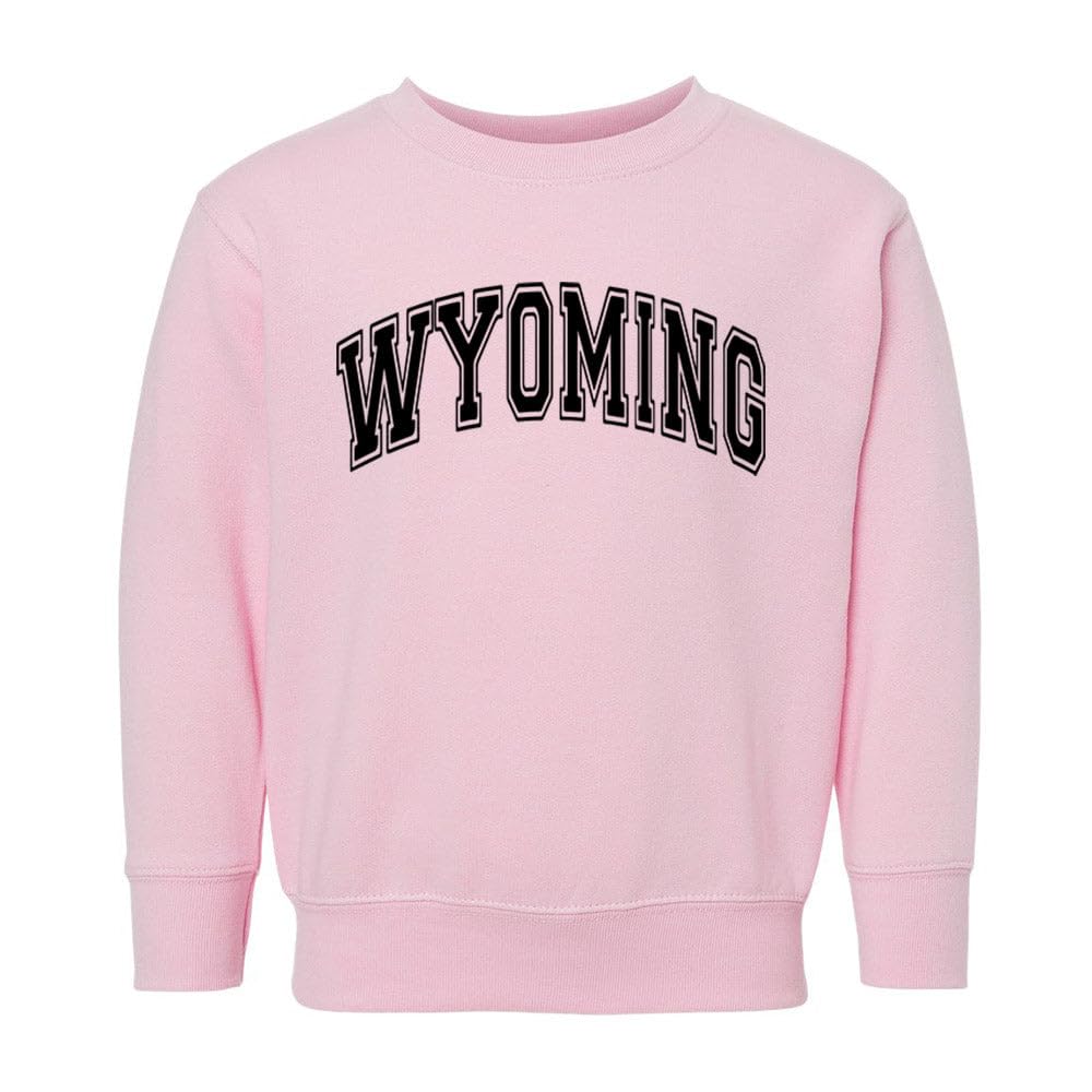 Arch Wyoming Kids Sweatshirt Toddler 4T Pink