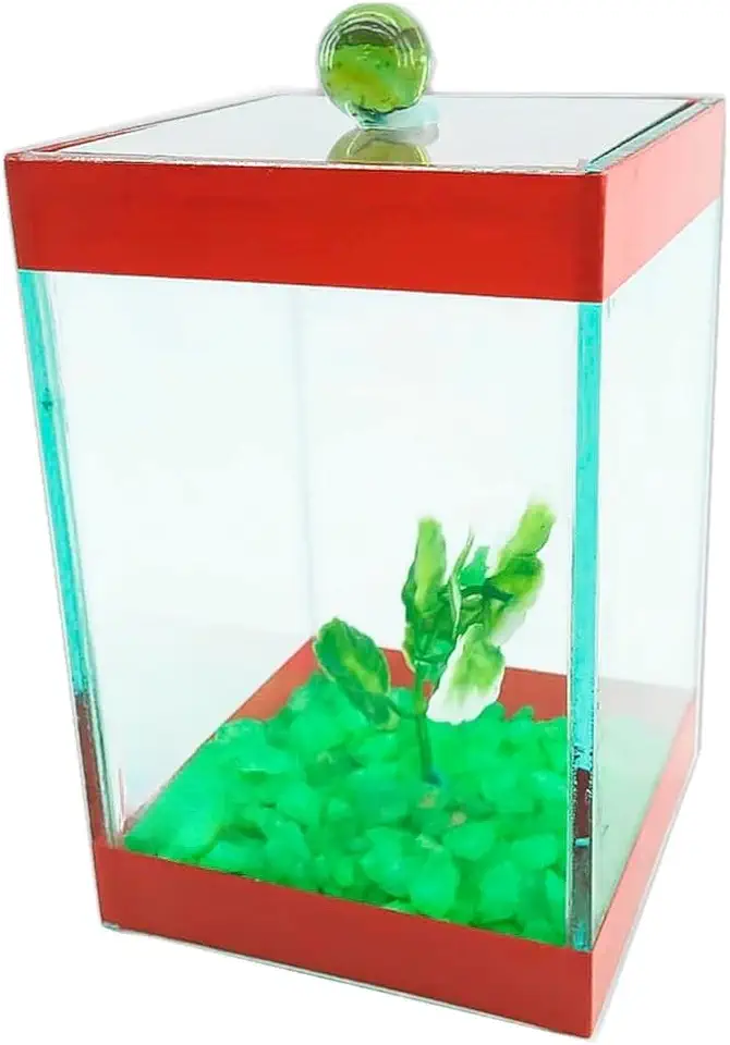 Aquário decorativo para peixes betta com 9 x 9 x 14 cm – com características ornamentais, aquário ornamental compacto (Vermelho)
