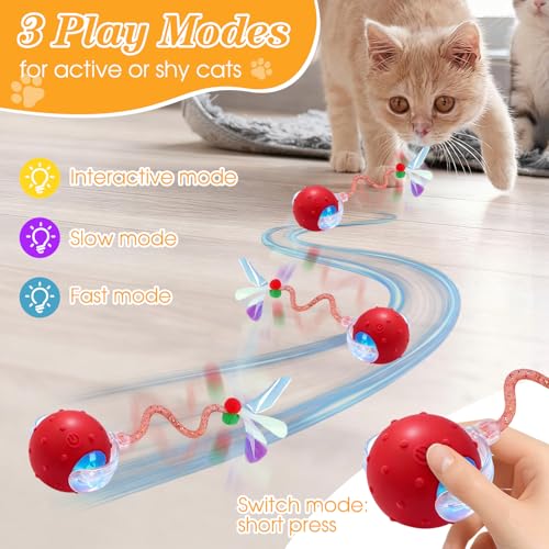 Balle interactive chat et chien avec roulement automatique 360° rouge x2 - 3