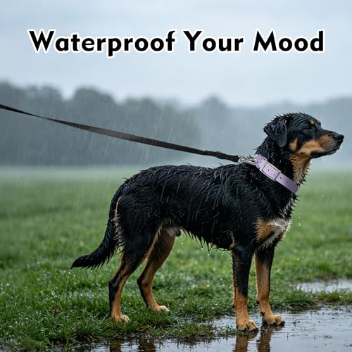 Wisedog Waterproof Dog Leash – 5ft/6ft Adjustable with 2 Metal Swivel Hooks, Easy to Clean Dog Leashes for Small, Medium, Large Breed Dogs (Sage Green,M) by Wisedog - Image 6