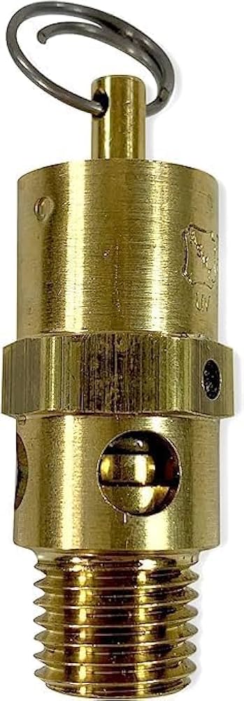 ●313 RELIEF SQUAD ASME Soft Seat Safety Relief Valves