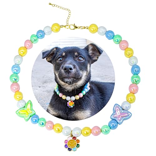 SM4BED  L  p[lbNXAJtȌ̂r[Yƈ炵̏Ί̉Ԃ̃y_gA߉\ȎqWG[A^^ybgpAL 14C`