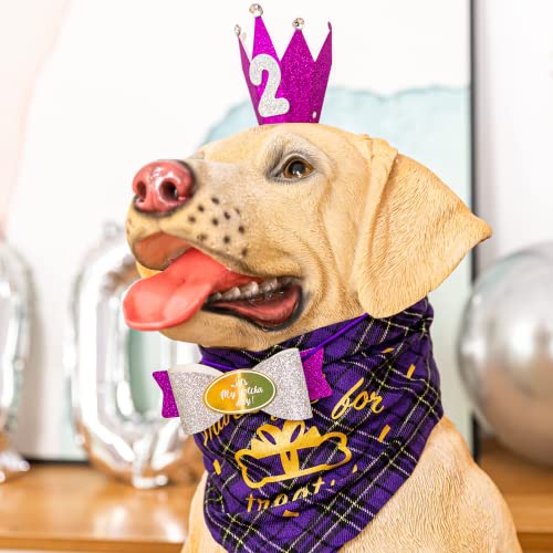 Dog Birthday Party Supplies, Dog Birthday Hat/Bandana/Bowtie/Balloon/Flag/Banner for Small Medium Dogs Pets, Doggie Birthday Party Supplies Decorations - Image 5