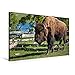 Produktbild Premium Textil-Leinwand 90 x 60 cm Quer-Format Bison im Yellowstone Nat'l Park | Wandbild, HD-Bild auf Keilrahmen, Fertigbild auf hochwertigem Vlies, Leinwanddruck von Dieter-M. Wilczek