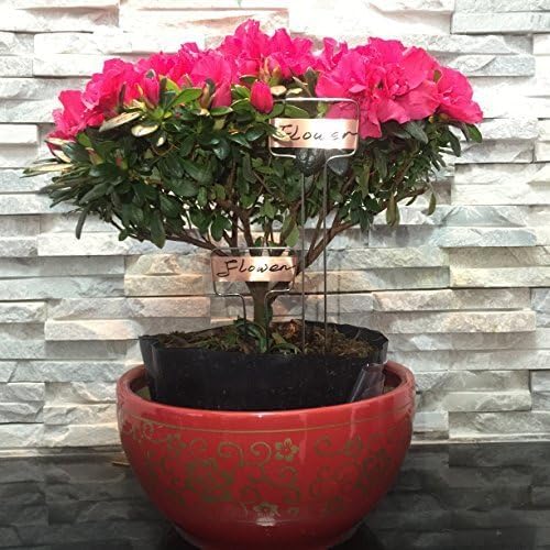 Pack of 30 Copper Plant Labels for Garden, Metal Plant Markers Nameplate, Plant Tags for Outdoor and Potted Plants (10" x 2.6") - Image 6