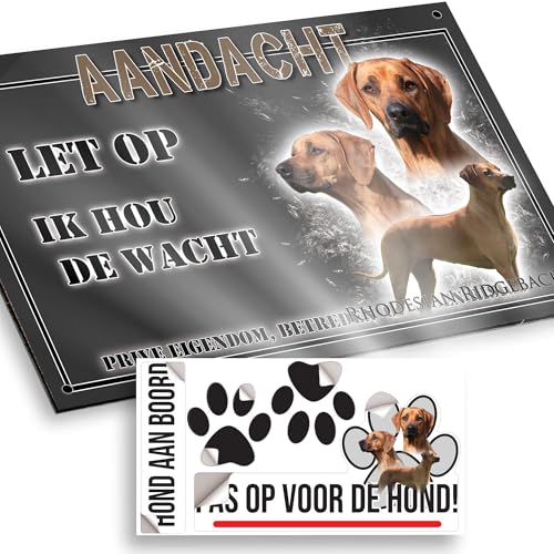 Attenti al cane Rhodesian ridgeback