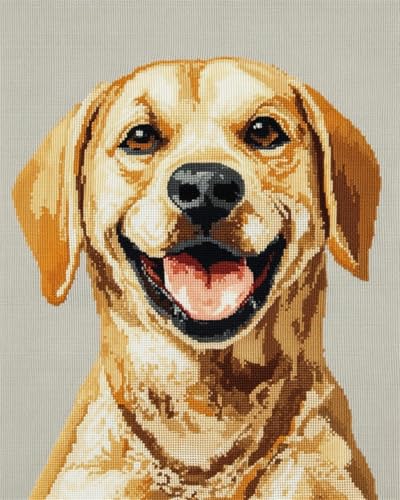 Broderie point de croix kit débutant motif chien à offrir pour un anniversaire créatif