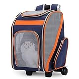 GRAND ESPACE: 27 × 28 × 42cm, adapté pour les animaux de moins de 6kg inspections vétérinaires et Voyage