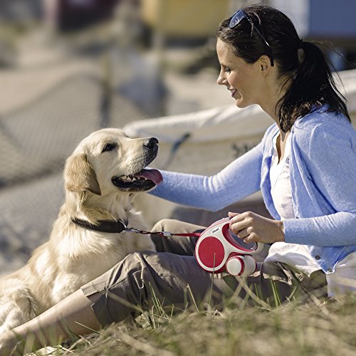 flexi Roll-Leine Vario XS Seil 3 m anthrazit für Hunde, Katzen und Kleintiere bis max. 8 kg