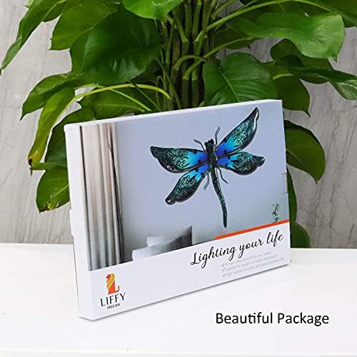 Liffy Metal Dragonfly Wall Decor Glass Outdoor Wall Art Hanging Garden Decorations for Living Room, Bedroom