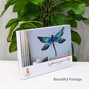   LIFFY-Metal-Dragonfly-Wall-Decor-Outdoor-Wall-Decor-Garden-Dragonfly-Decor-for-Patio-Dragonfly-Metal-Wall-Art-for-Living-Room-Bedroom-Dragonfly-Gifts14inch-MetalGlass
