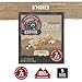 Kodiak Cakes Protein Chewy Granola Bar, S'mores, (Pack of 4 Boxes)