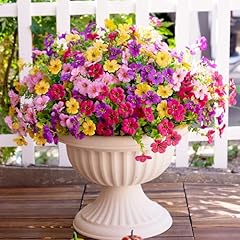 Mix Pink Purple Yellow Fuchsia