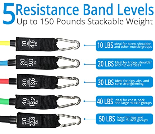 Dynastretch Resistance Bands Set For Men And Women Exercise Bands With Door Anchor Handles With Grooves Carry Bag Cushioned Ankle Straps For Resistance Training Physical Therapy #TOP2