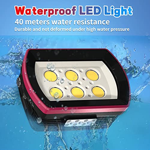 Seafrogs Diving Video Light Waterproof 130Ft/40M White Red Blue Light Underwater Photography Fill Lights High Power 6000 Lumens Flash Light With Ball Head Ys Adapter For Gopro, Housing (Sl-22) #TOP2
