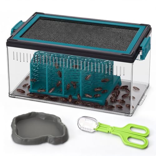 Reptile Feeder Insect Habitat Kit (4 pcs)