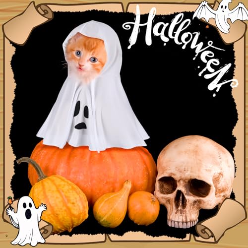 Disfraz Halloween Fantasma para Perro con Sombrero, Blanco, Talla S miniatura 6