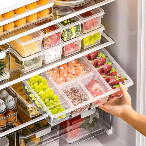 Image of Shuttle Art Fridge Organiser Storage Boxes | 5 Compartment Bin | Freeze Storage Box Container | For Serving Cut Fruits, Snacks, Vegetables, & Mukhvas