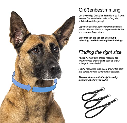 Schnüffelfreunde Zugstopp Hundehalsband aus Leder I Erziehungshalsband I Dressurhalsband I Lederhalsband Hund (L - bis 37cm, Schwarz)