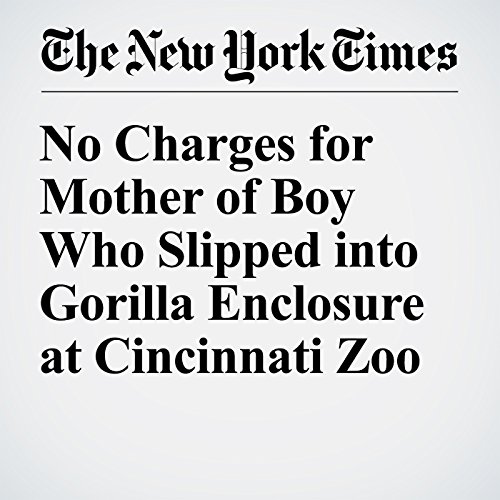 No Charges for Mother of Boy Who Slipped into Gorilla Enclosure at Cincinnati Zoo cover art