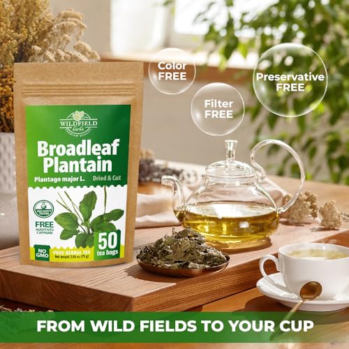 Image of 30 Bags Plantain Leaf Herb Tea Dried Plaintains Leaves (Plantago Major) - 30 Count 2g Tea Bags Greater Broadleaf Plantain Leaf Llanten