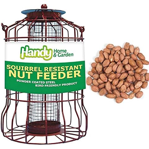 1 x Handy Home and Garden Squirrel Guard Hanging Nut Feeder with 1KG Bag of Peanut Feed for Wild Garden Birds Cover