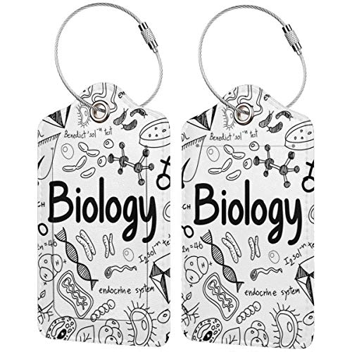 Preisvergleich Produktbild SIONOLY Gepäckanhänger Kofferanhänger mit Adressschild,Doodle Handschrift Elemente Schulbildung Moleküle Bakterien Chemie Labor,Koffer und Gepäck auf Reisen,(4 Stück)