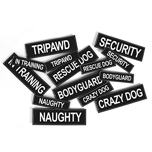 EzyDog Tripawd convertire Side Patch Etichetta