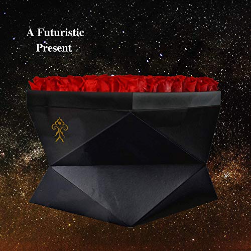 Premium Roses| Real Roses That Last 365 Days | Real Flowers| Roses in a Box (Model Z, Large)