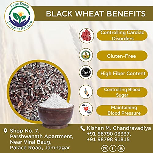 Image of Eywa Seeds & Exports Pvt Ltd Organic Black Wheat Flour (15 Kg) For Eating And Cooking | Kale Gehu Ka Atta | Produce Of India From Organic Farms