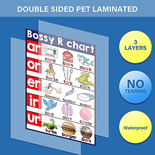 13 English Phonics Poster Language Arts Charts for Kids Toddler Learning Vowels Posters for Kindergarten, Preschool, Primary School Alphabet Bulletin Board Set Classroom Wall Decoration (16 x 11 Inch)